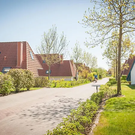 Feriehus 